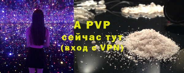 хмурый Волосово