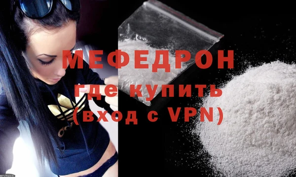стаф Щигры